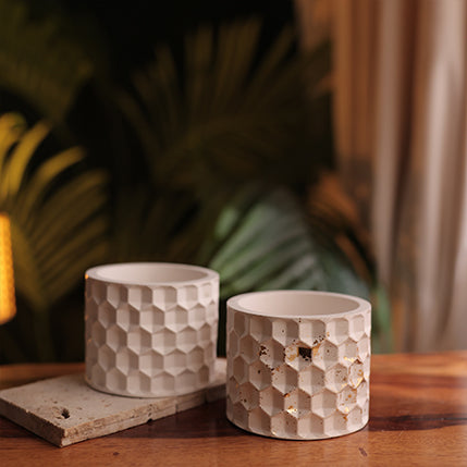 Hexa Pot or Pen holder