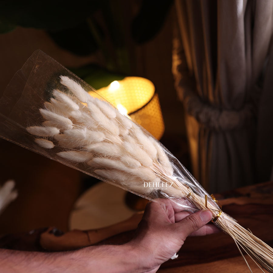 Pampas & Bunny Tale