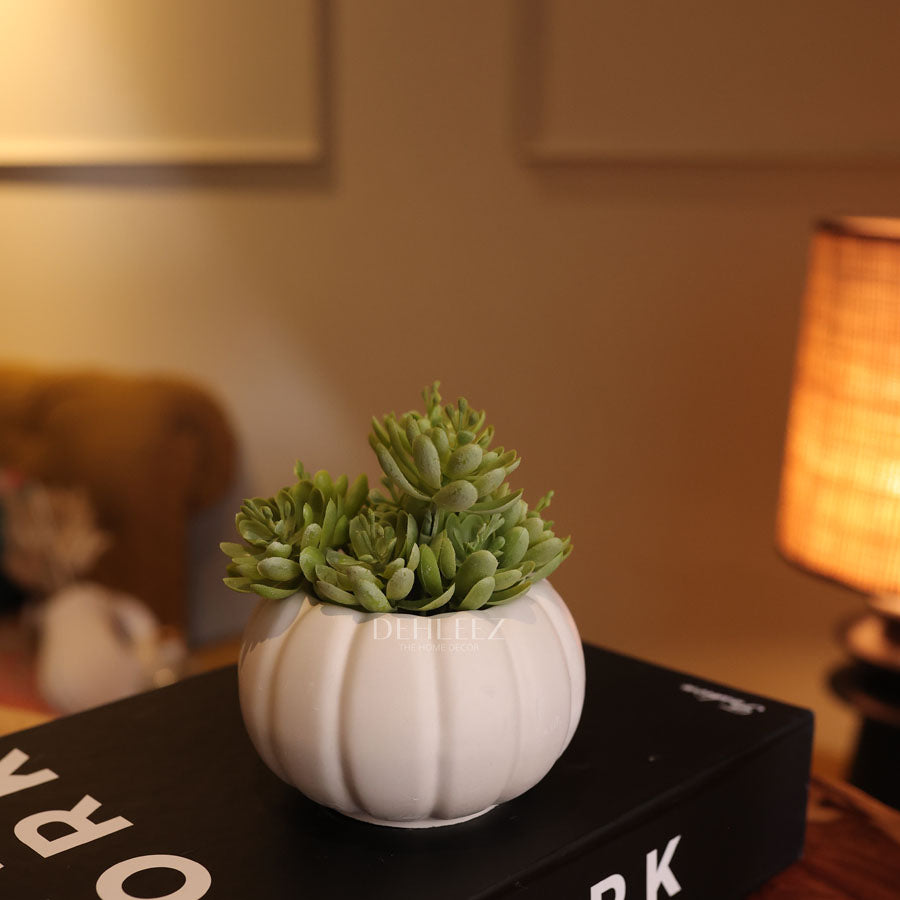 Pumpkin Pot with Plant