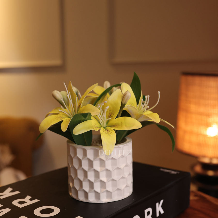 Hexa Pot with Stems