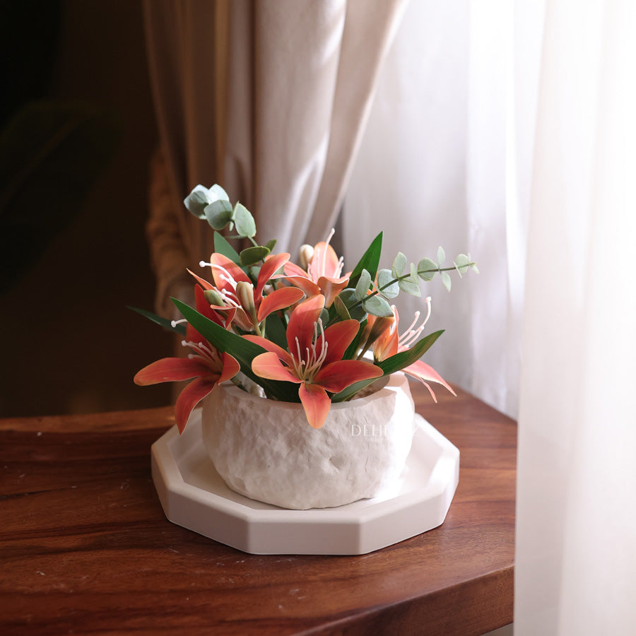 Small Octa Tray with Pot