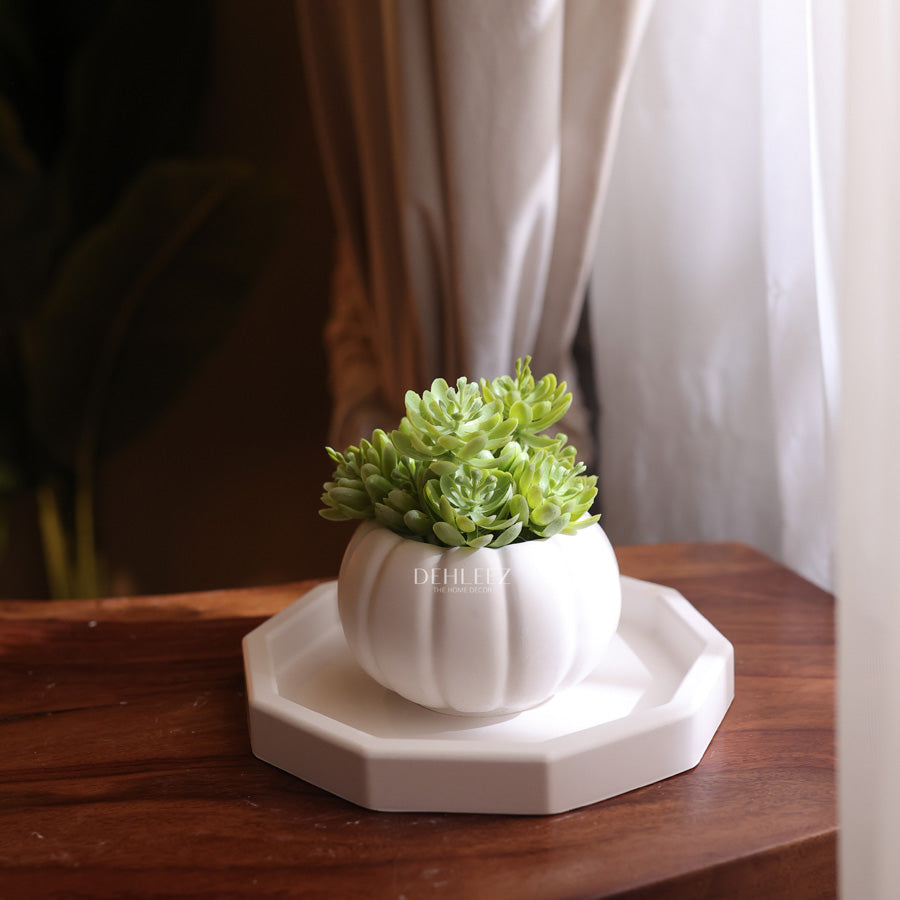 Small Octa Tray with Pot