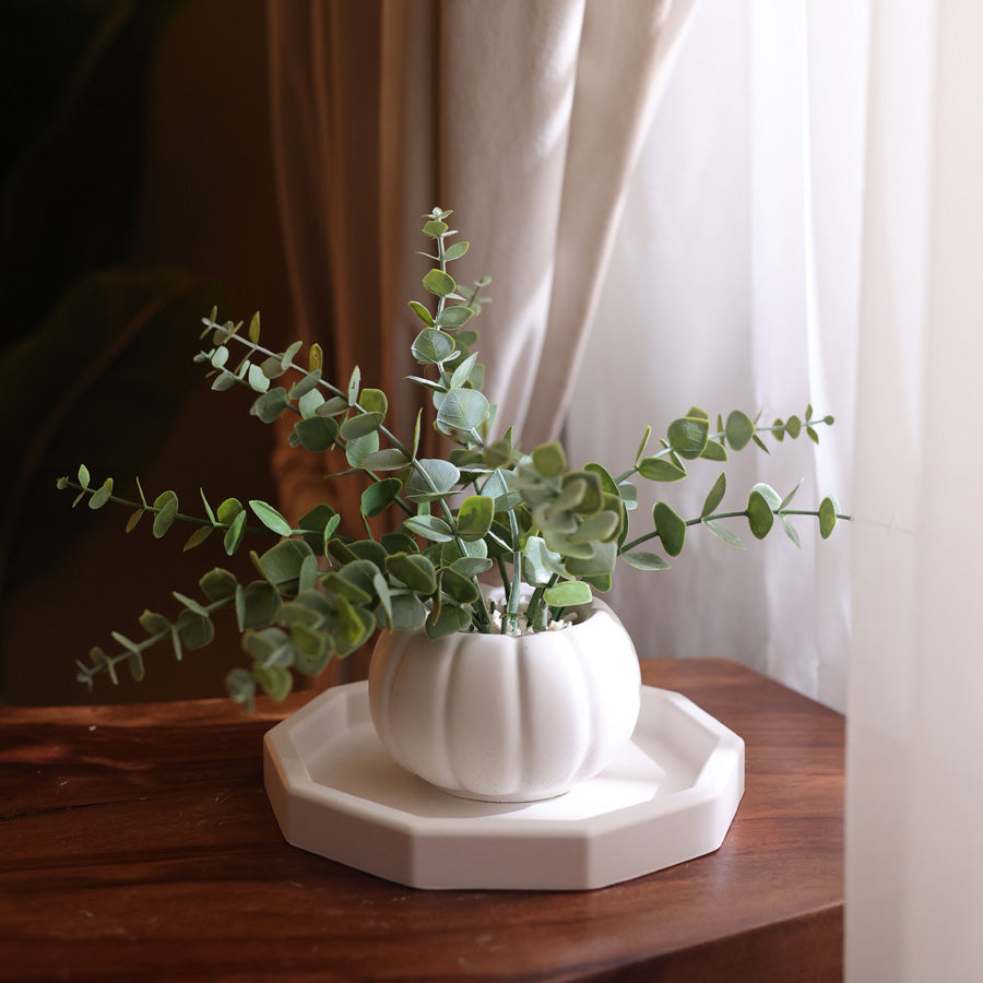 Small Octa Tray with Pot