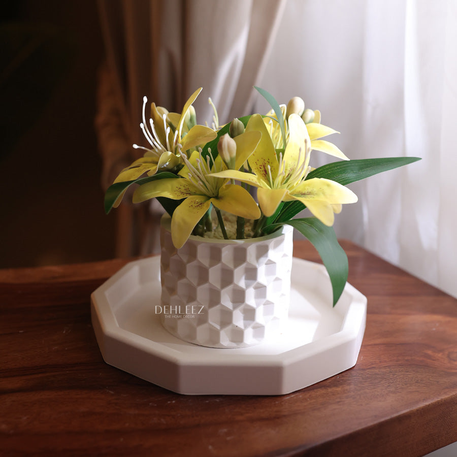 Small Octa Tray with Pot