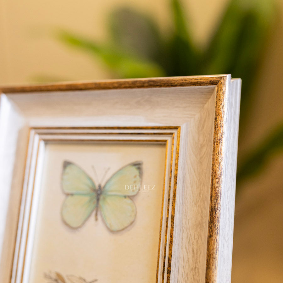 Grungy Wooden Frame