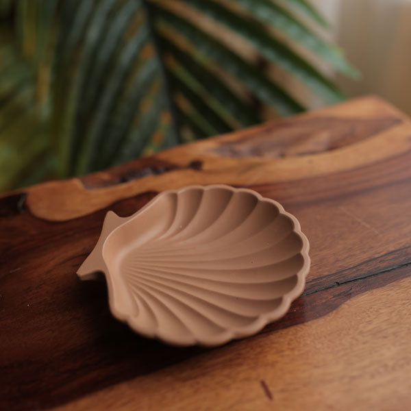 Shell Tray