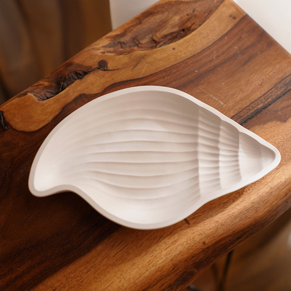 Large Shell Tray
