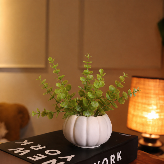 Pumpkin Pot with Plant