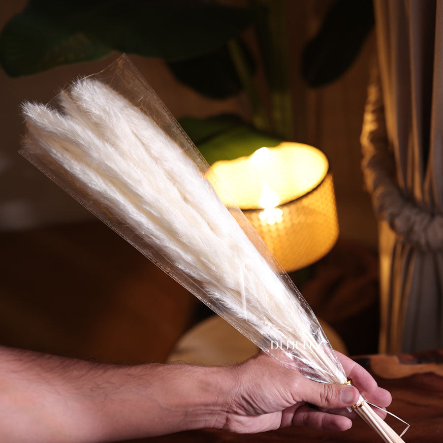 Pampas & Bunny Tale