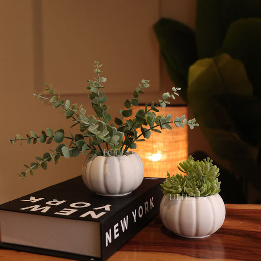 Pumpkin Pot with Plant