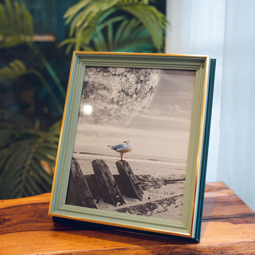 Two Toned Picture Frame