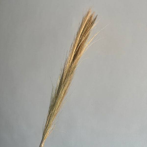 Artificial Stems