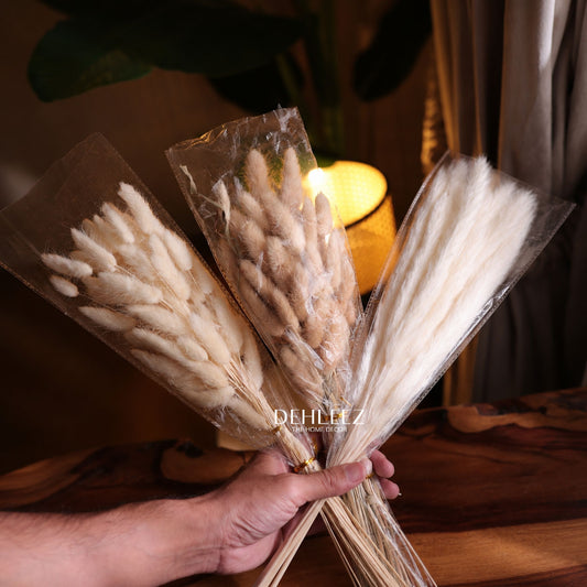 Pampas & Bunny Tale